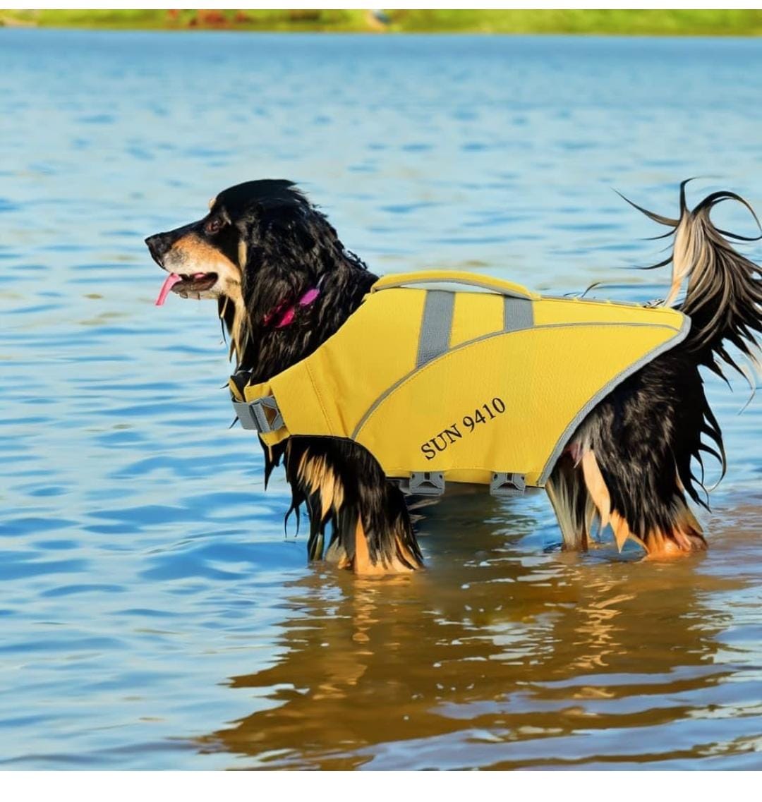 Chaleco salvavidas para mascotas